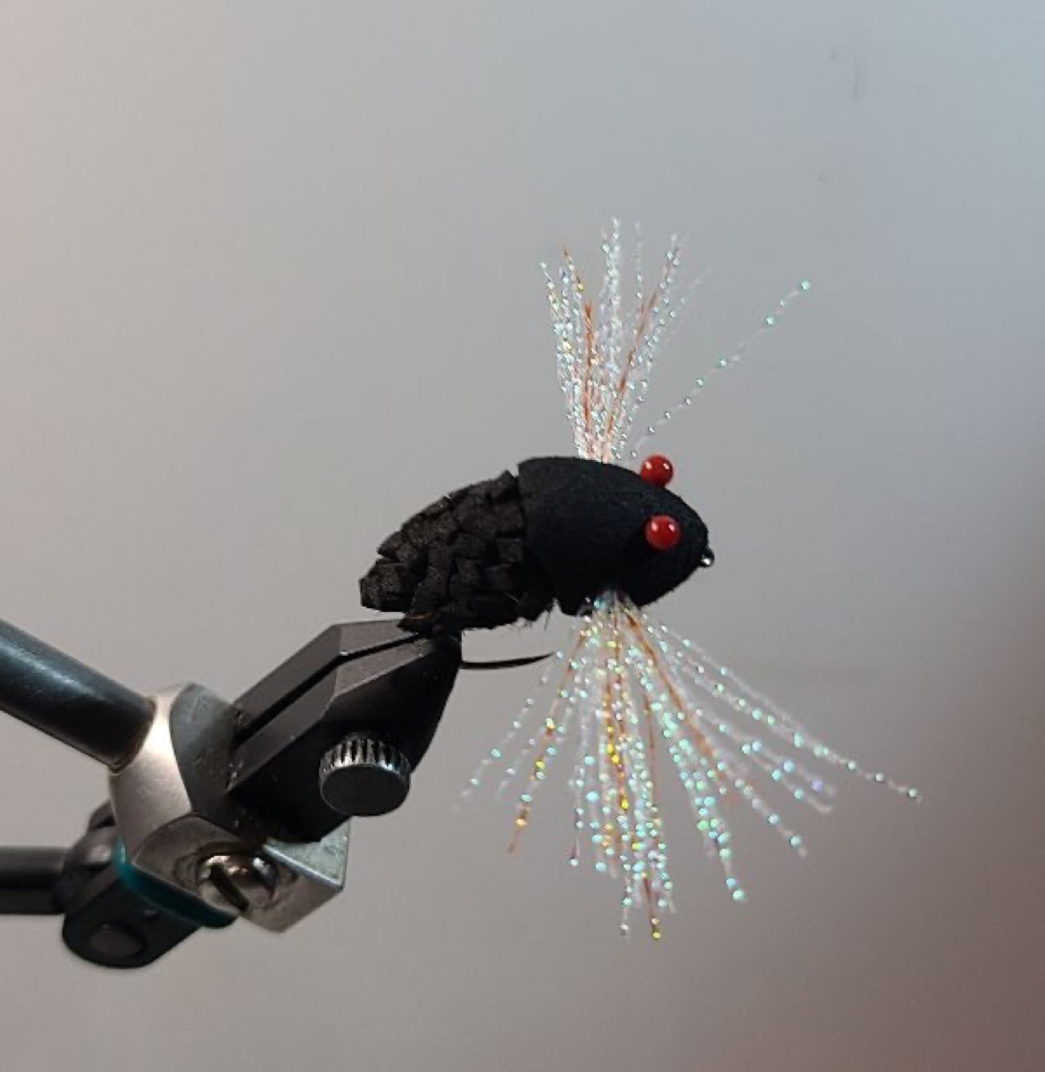Down and dirty cicada fly pattern tied by David Matthews