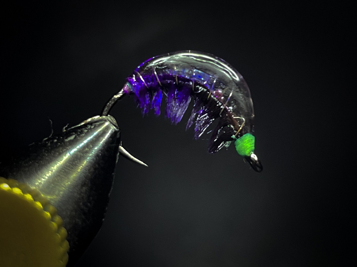 Hot spot Jelly Bean scud fly pattern tied by Blake Glover