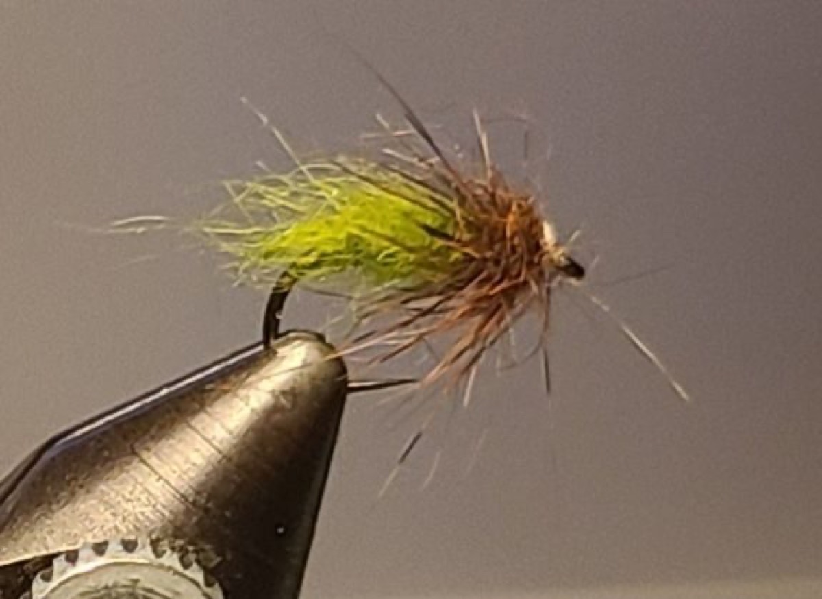 Caddis Emerger fly pattern tied by David Matthews