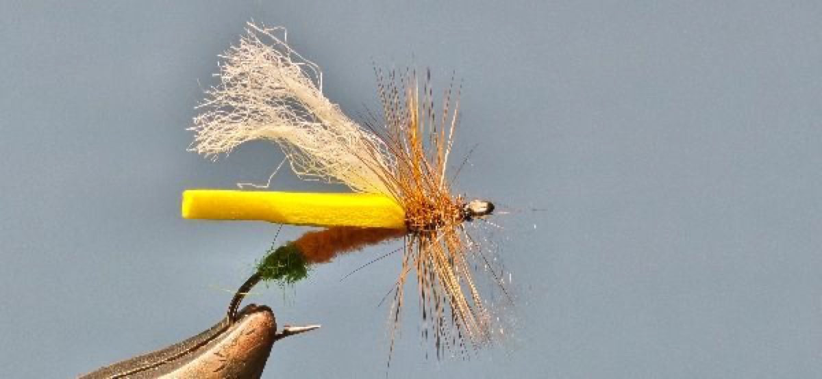 Foam Grannom Caddis (Female) fly pattern tied by Darrell Olson