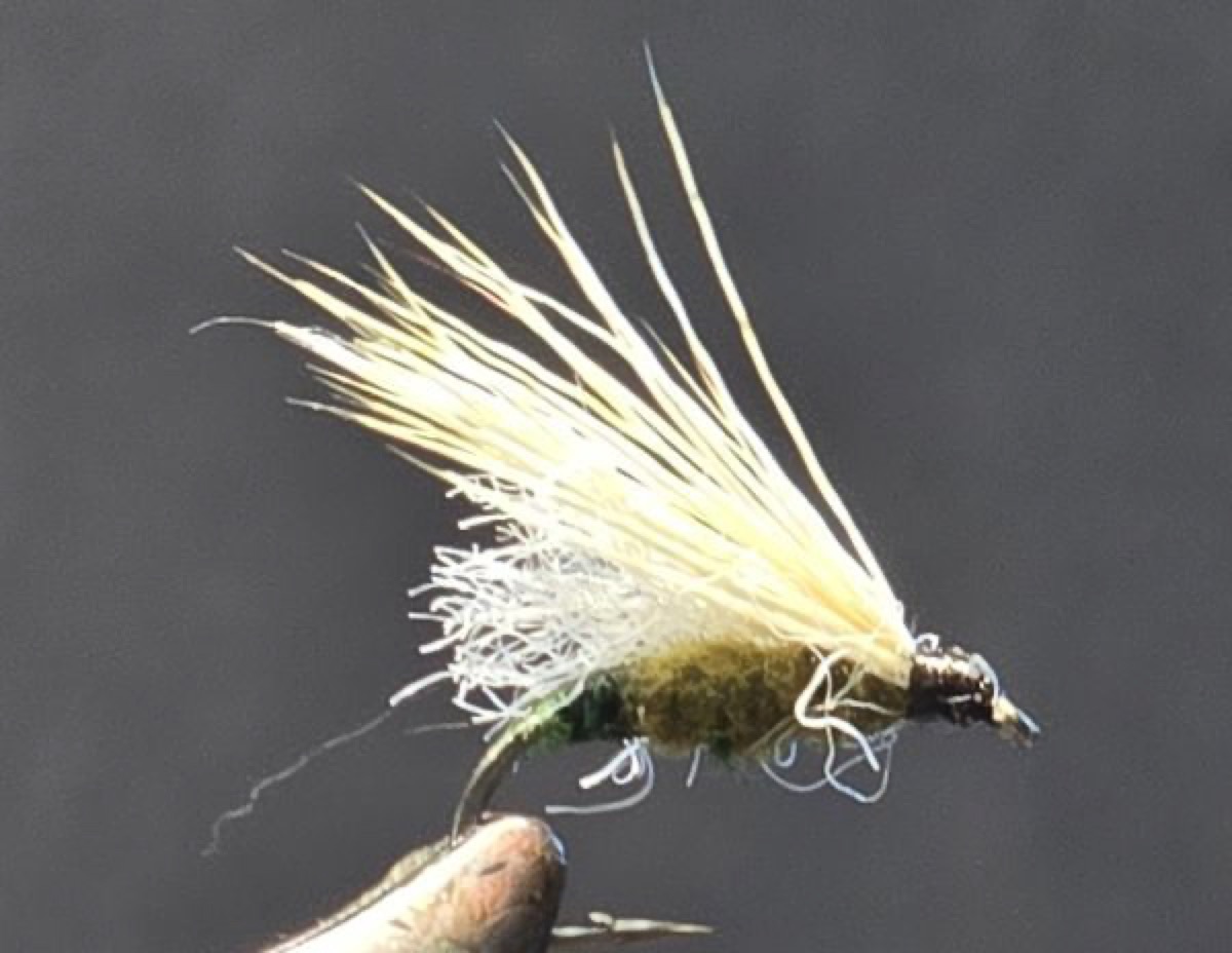 Egg Laying Grannom Caddis fly pattern tied by Darrell Olson