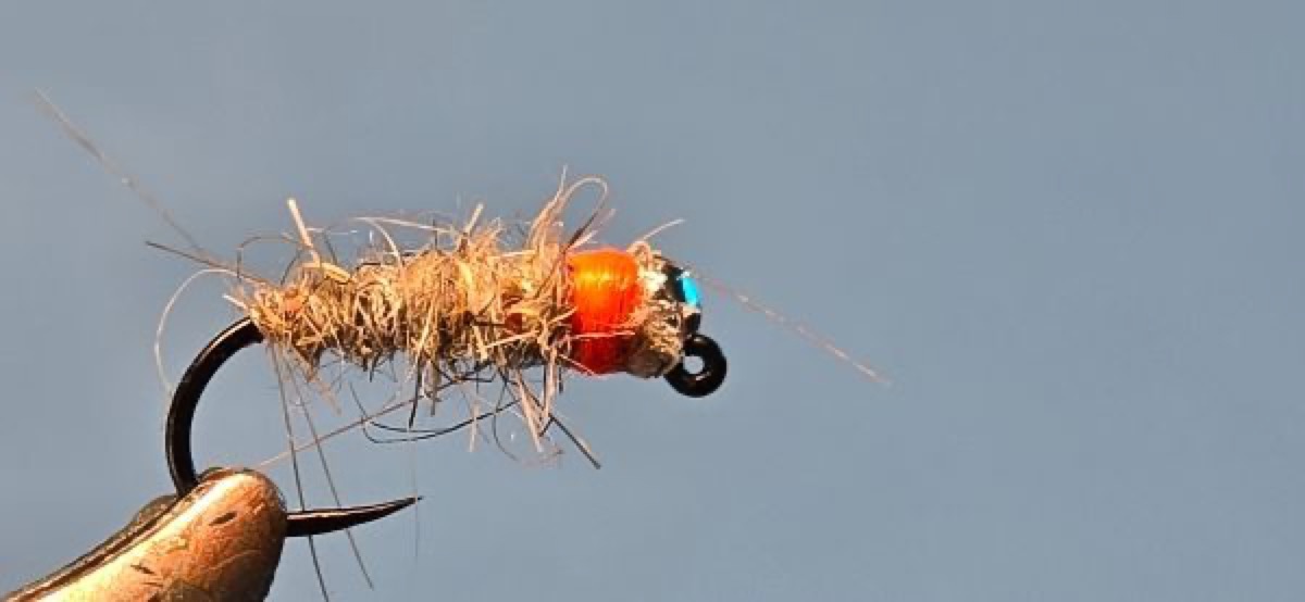 Sexy Walt's Worm fly pattern tied by Darrell Olson