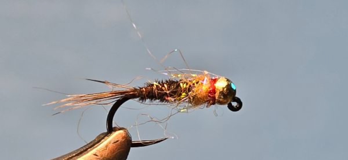 Frenchie fly pattern tied by Darrell Olson
