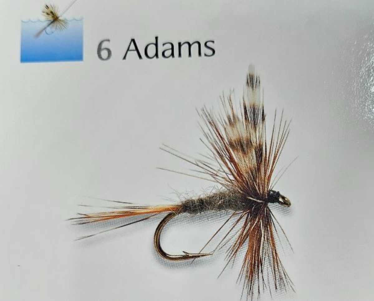 ADAMS fly pattern tied by Will Arrant