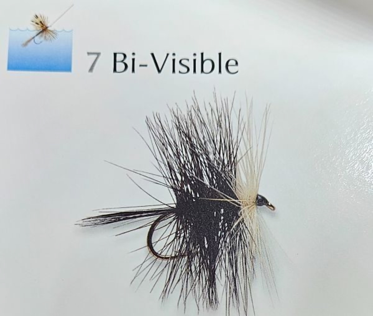 Bi-Visible fly pattern tied by Will Arrant