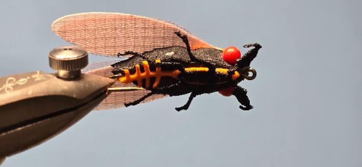 Cicada Fly fly pattern tied by Darrell Olson