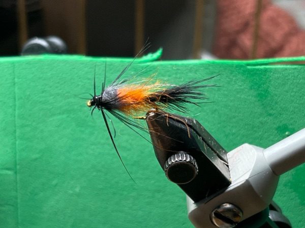 Carrot fly fly pattern tied by Michael Terry