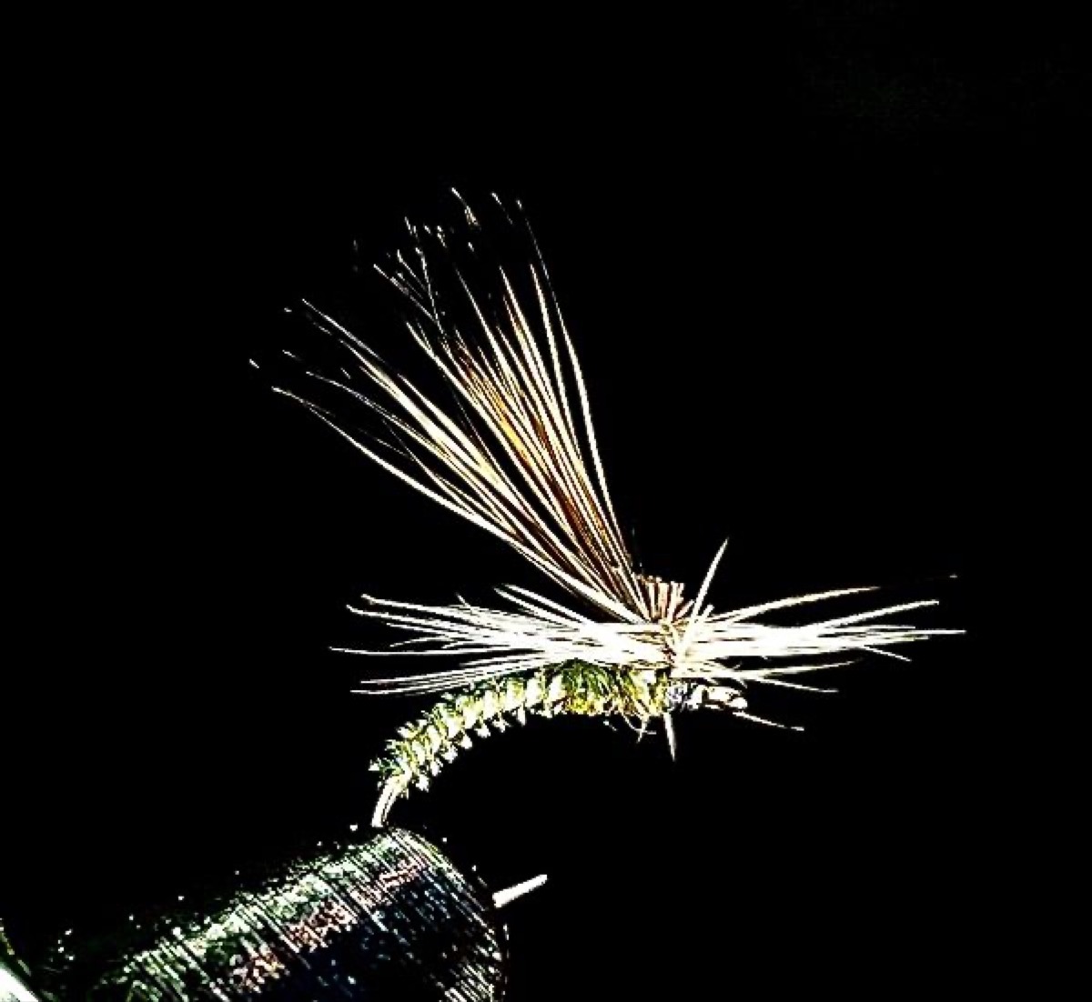 BWO Tilt Wing Klinkhammer fly pattern tied by Brent Jones