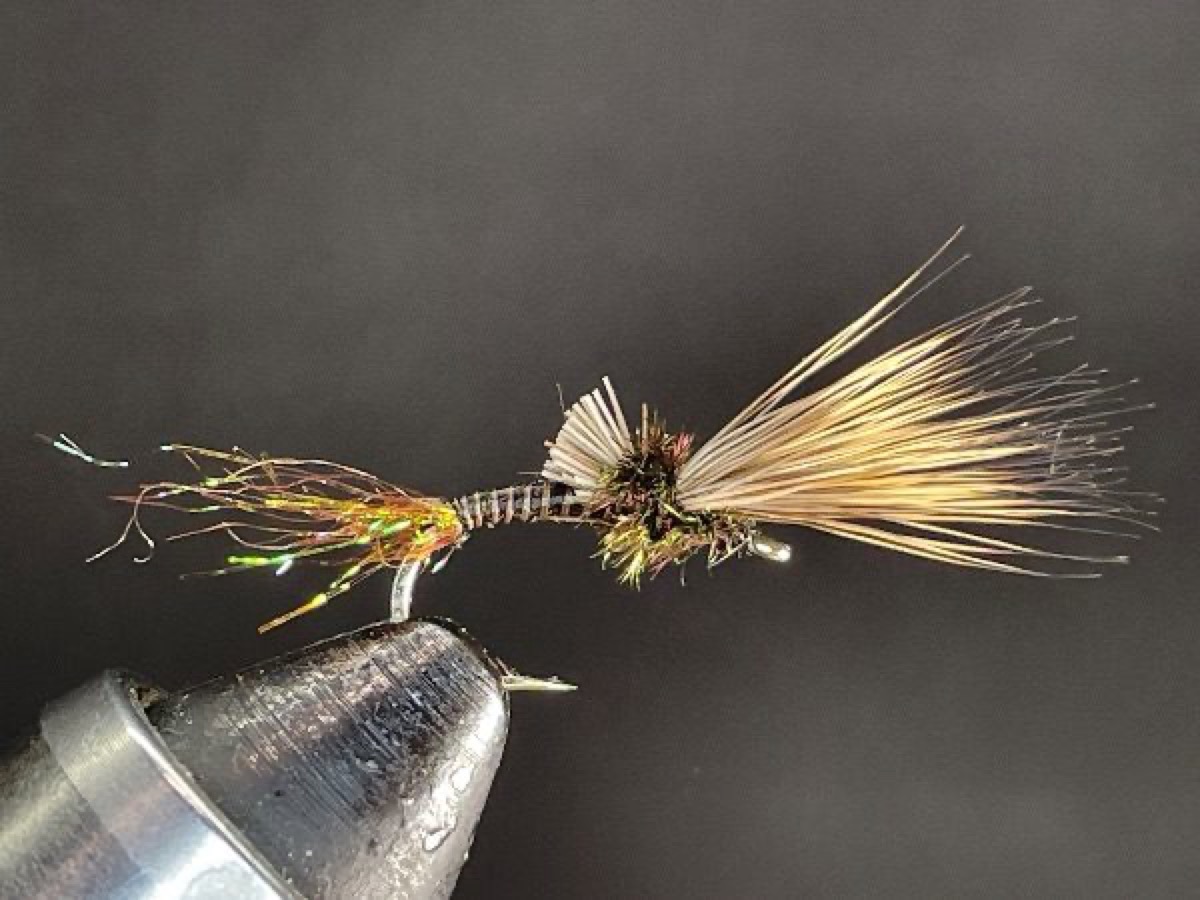 Quill Body Cripple fly pattern tied by Brent Jones
