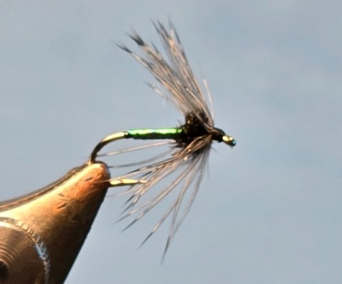 Quail and Peacock fly pattern tied by Darrell Olson