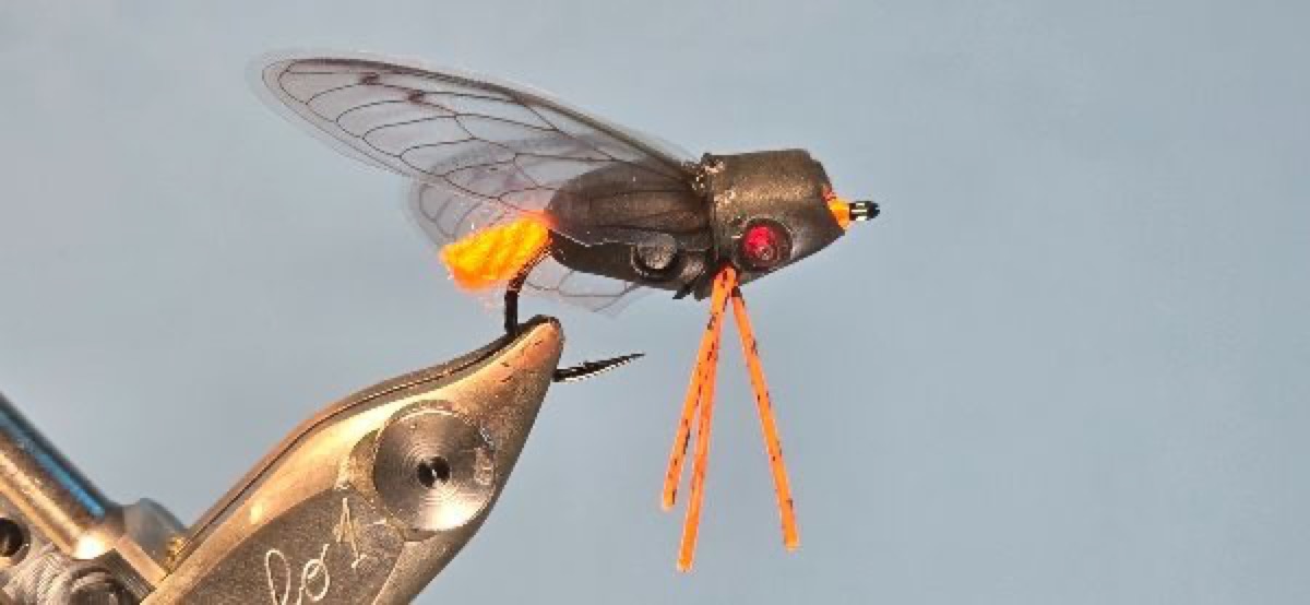 Spent Wing SS Cicada Fly for Brood XIII & XIX fly pattern tied by Darrell Olson
