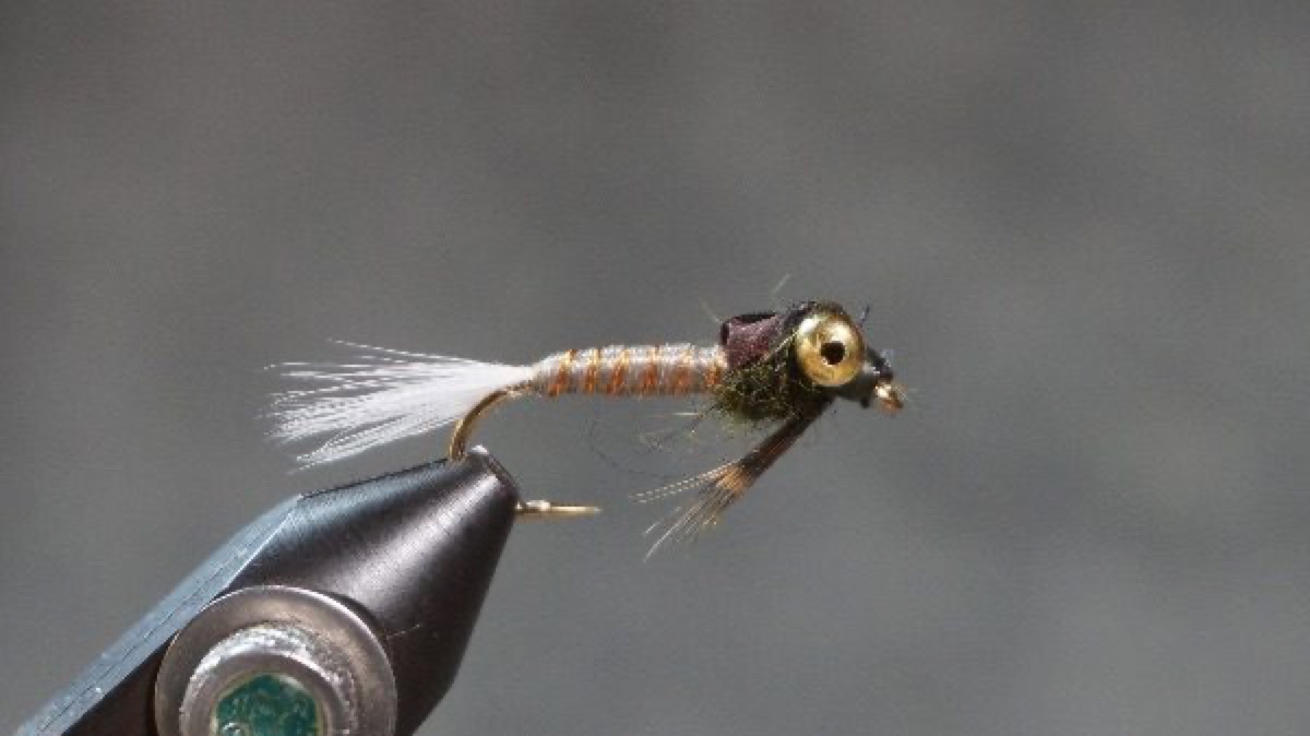 Damselfly Nymph fly pattern tied by Christian Andrews
