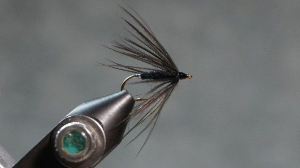 Spider Hackle fly pattern tied by Christian Andrews