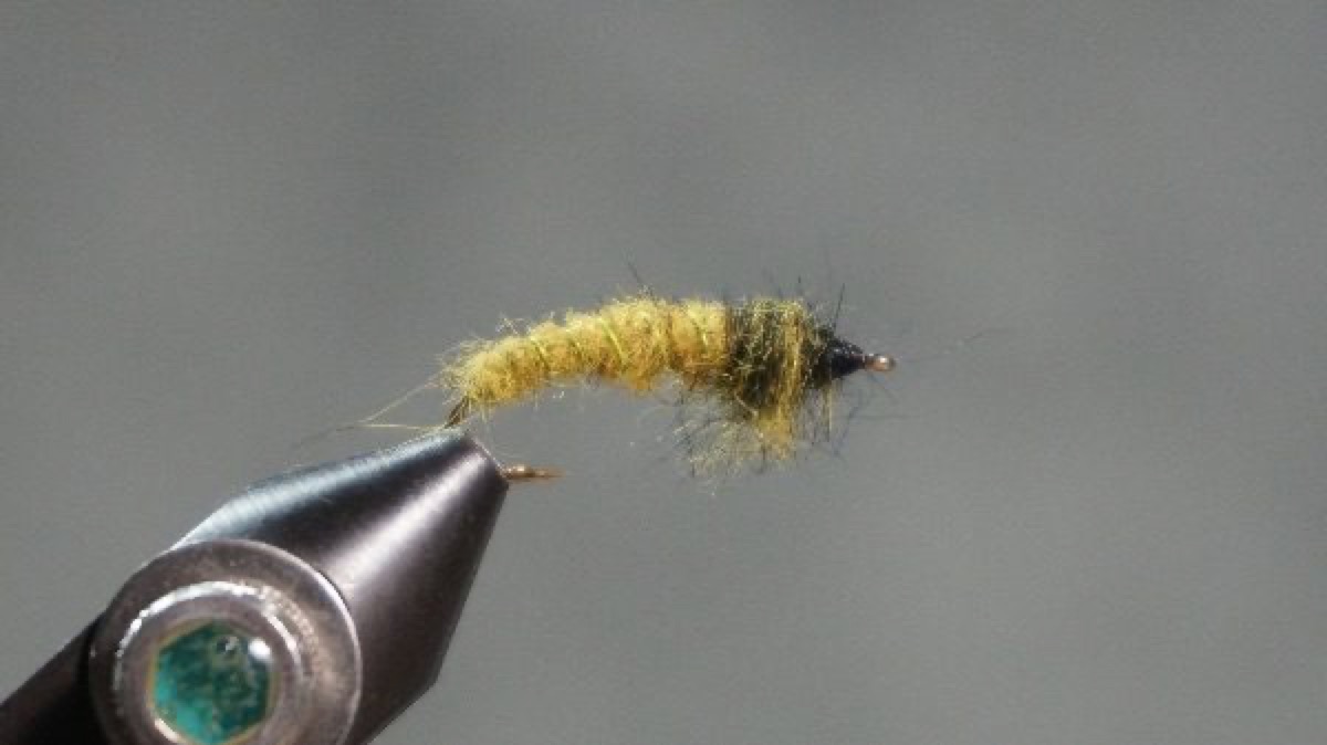 Rhyacophila Caddis Larva fly pattern tied by Christian Andrews