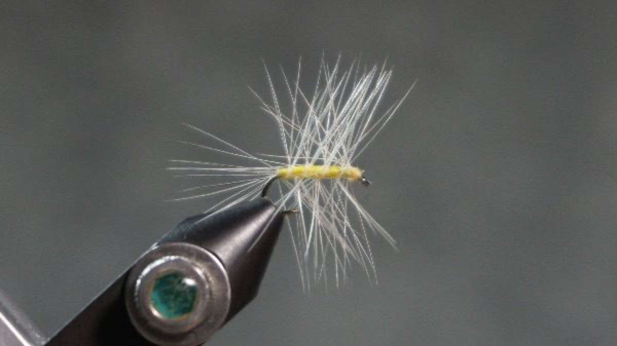 Dry Woolly Spider fly pattern tied by Christian Andrews