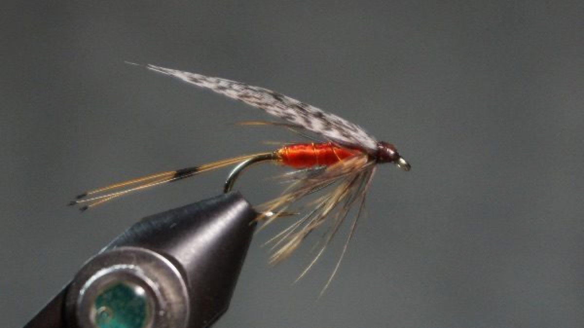 Abbey fly pattern tied by Christian Andrews