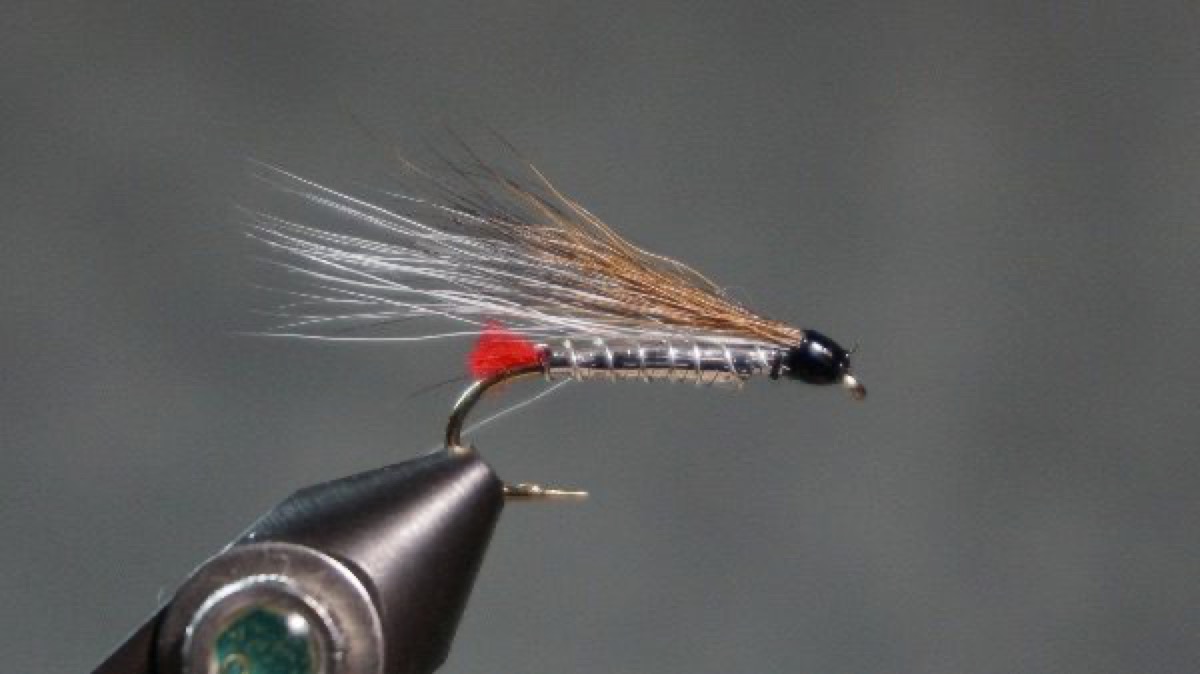 Black-nosed Dace fly pattern tied by Christian Andrews