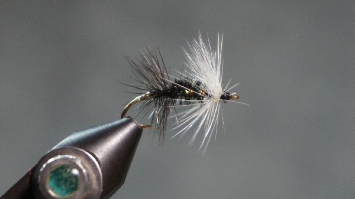 Renegade fly pattern tied by Christian Andrews