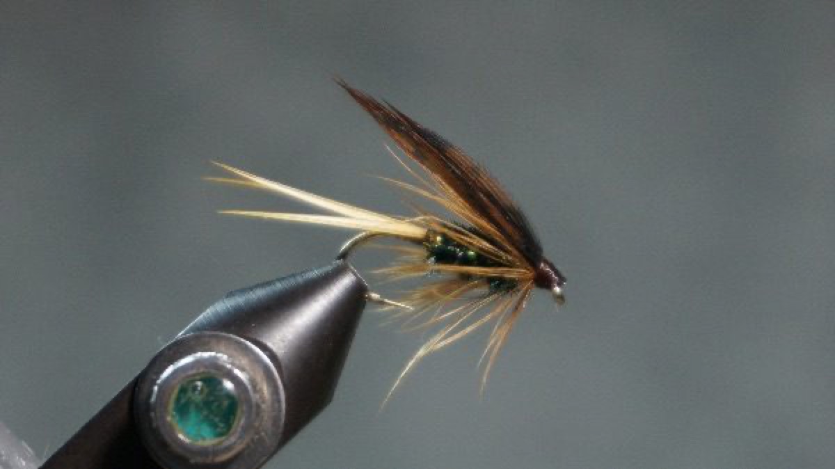 Alice fly pattern tied by Christian Andrews