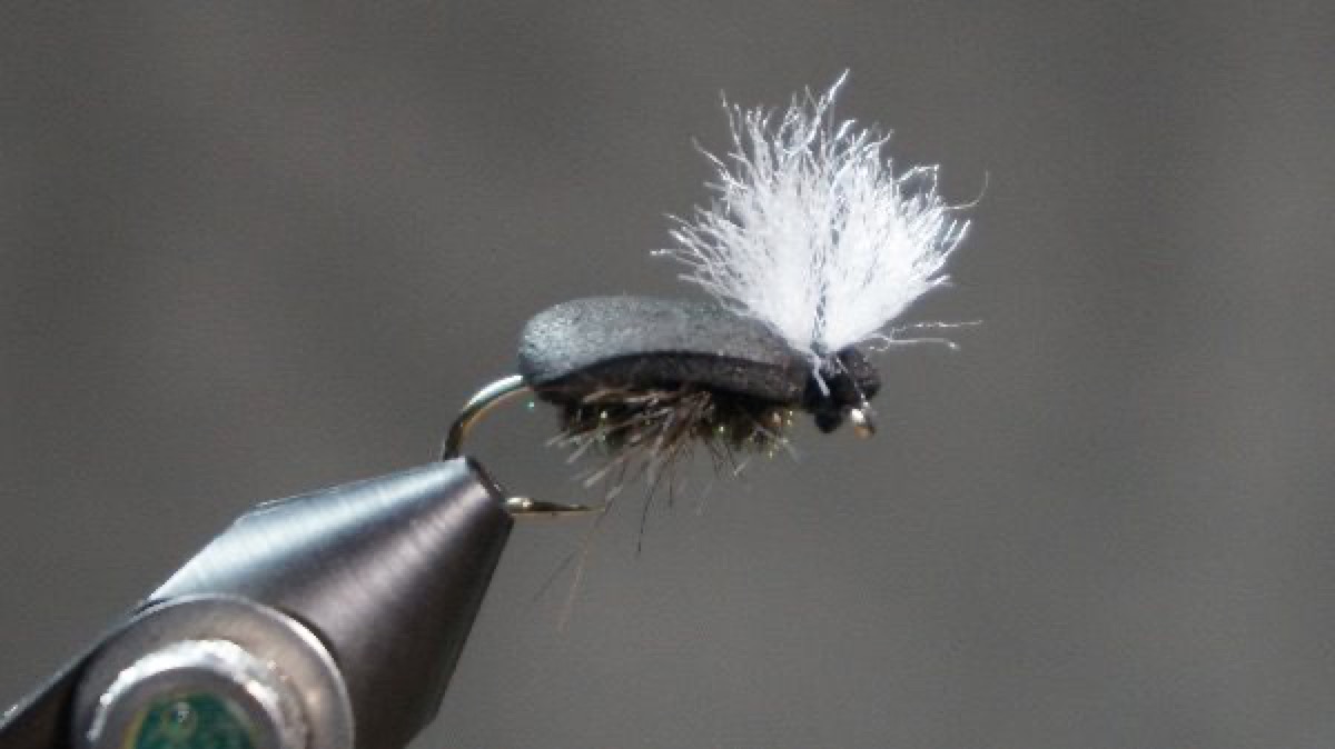 Foam Beetle fly pattern tied by Christian Andrews