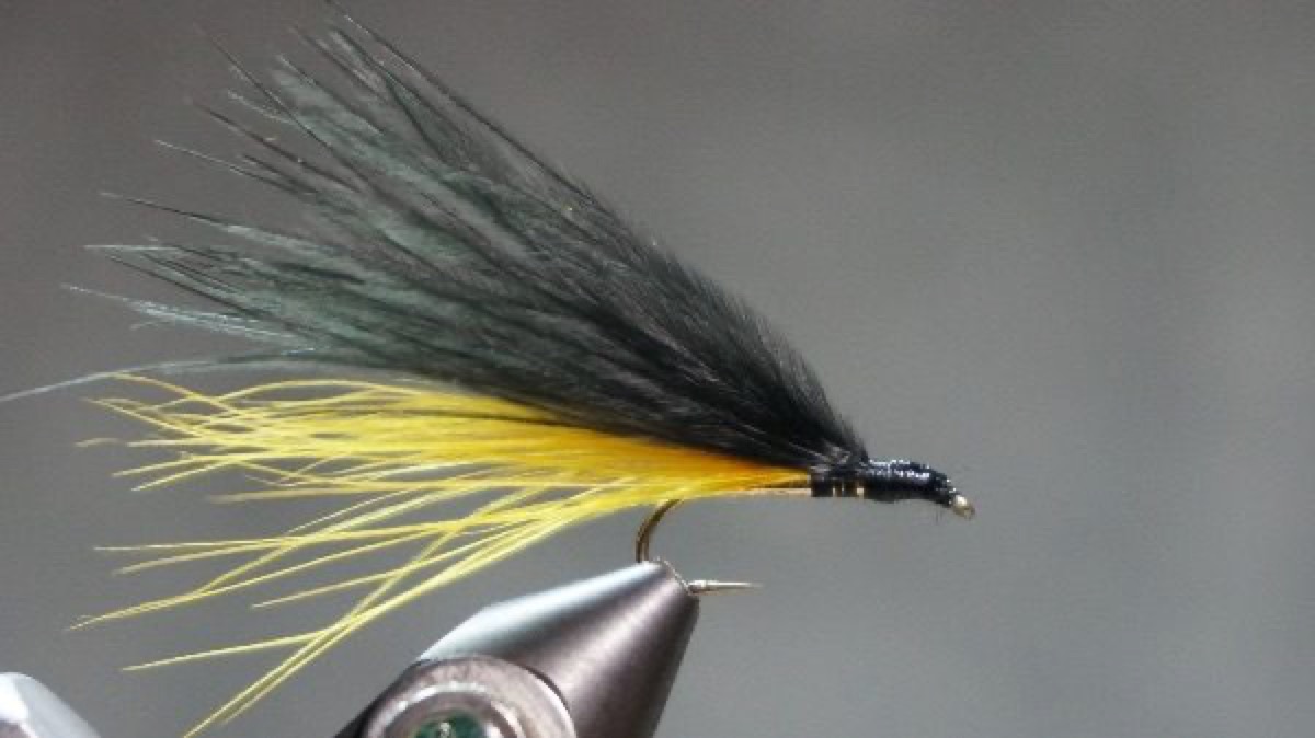 Black and Yellow Marabou Streamer fly pattern tied by Christian Andrews