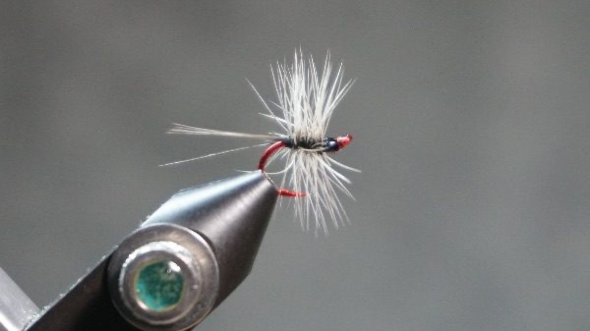 Badger Spider fly pattern tied by Christian Andrews