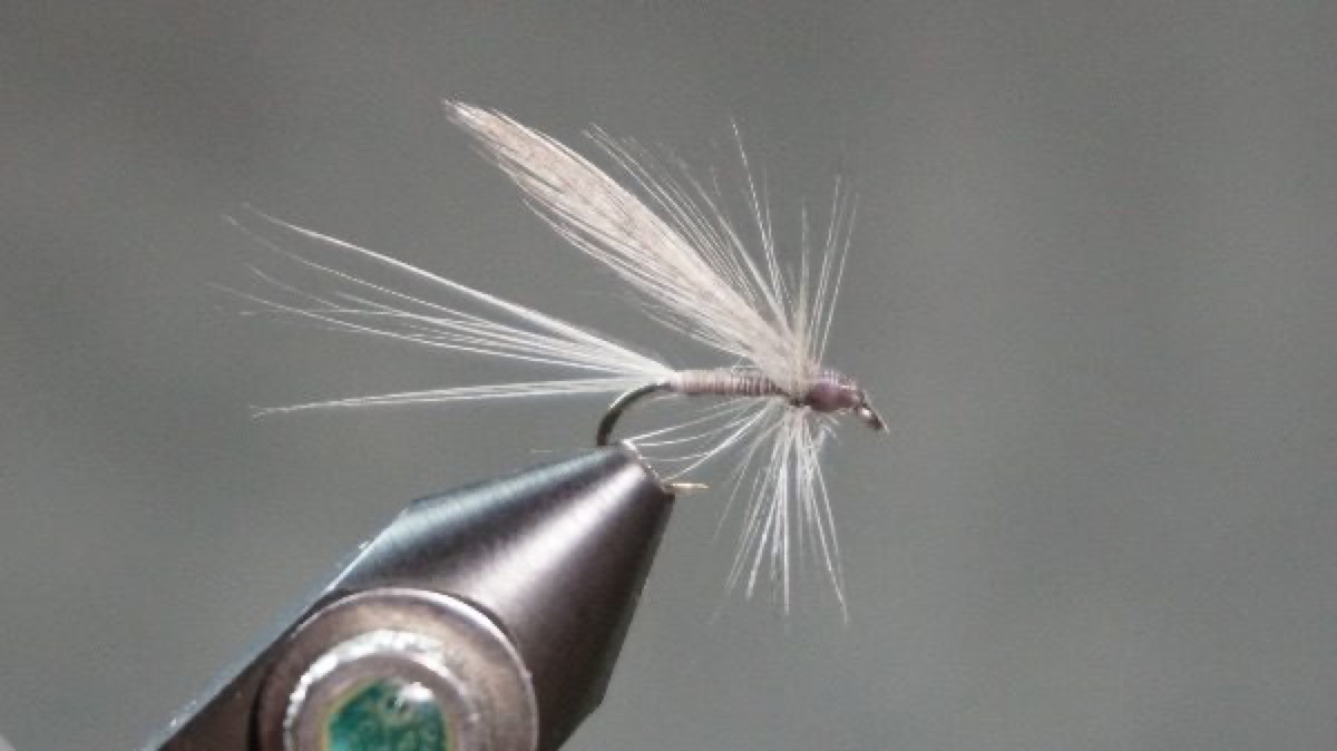 Bowman fly pattern tied by Christian Andrews