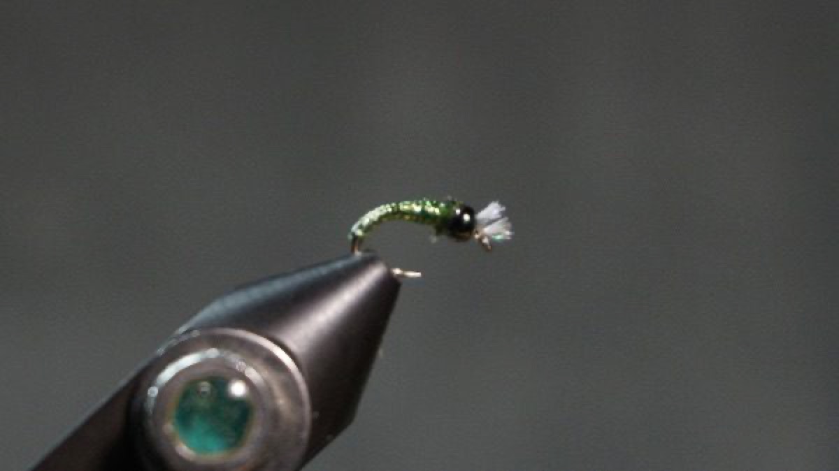 Glamour Madeira Midge Larva fly pattern tied by Christian Andrews