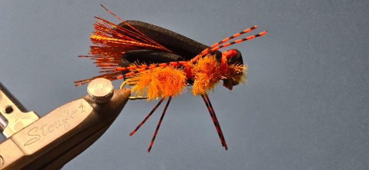 Cicada Bomber Variation fly pattern tied by Darrell Olson