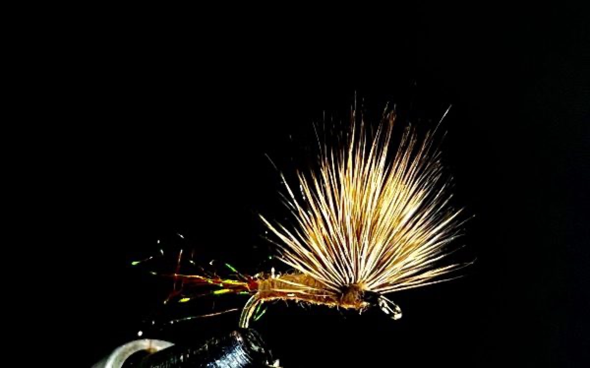 Brown Sparkle Dun fly pattern tied by Brent Jones