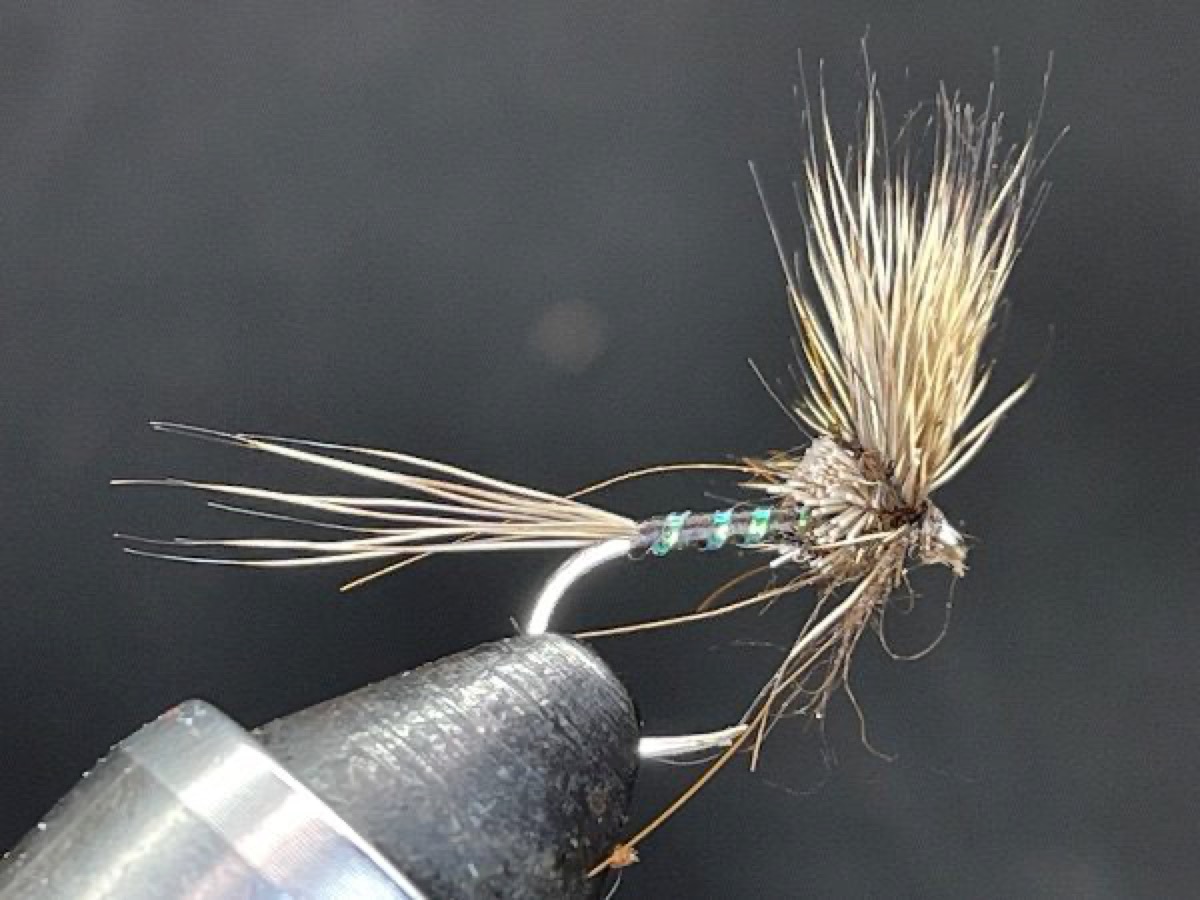 Compara Dun fly pattern tied by Brent Jones