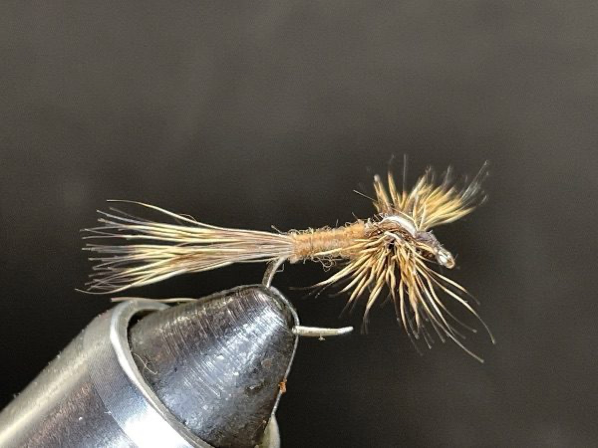 Brown Deer Hair Spent Wing Mayfly fly pattern tied by Brent Jones