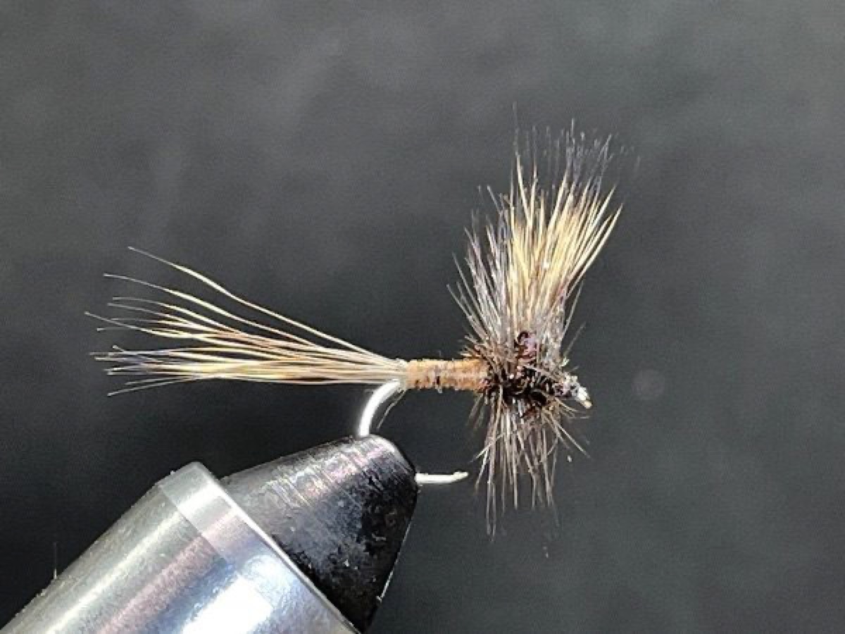 Brown Mayfly fly pattern tied by Brent Jones
