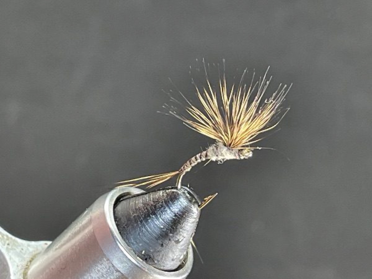 All Deer Hackle Stacker / Haystack fly pattern tied by Brent Jones