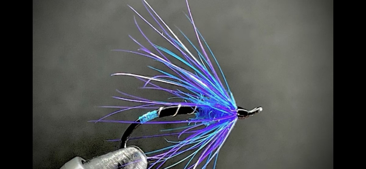 Moody Blue fly pattern tied by Brent Jones