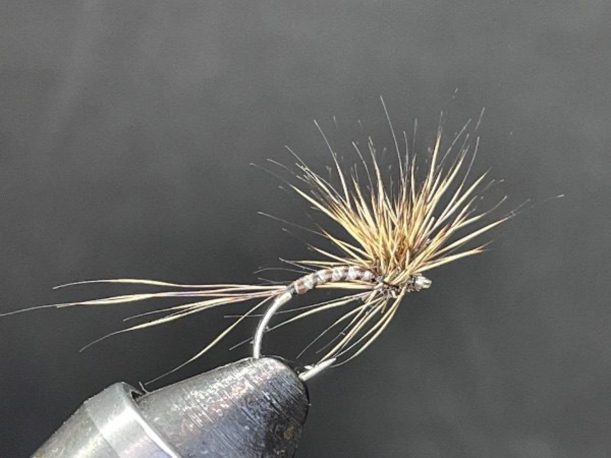 Deer Hackle Stacker fly pattern tied by Brent Jones