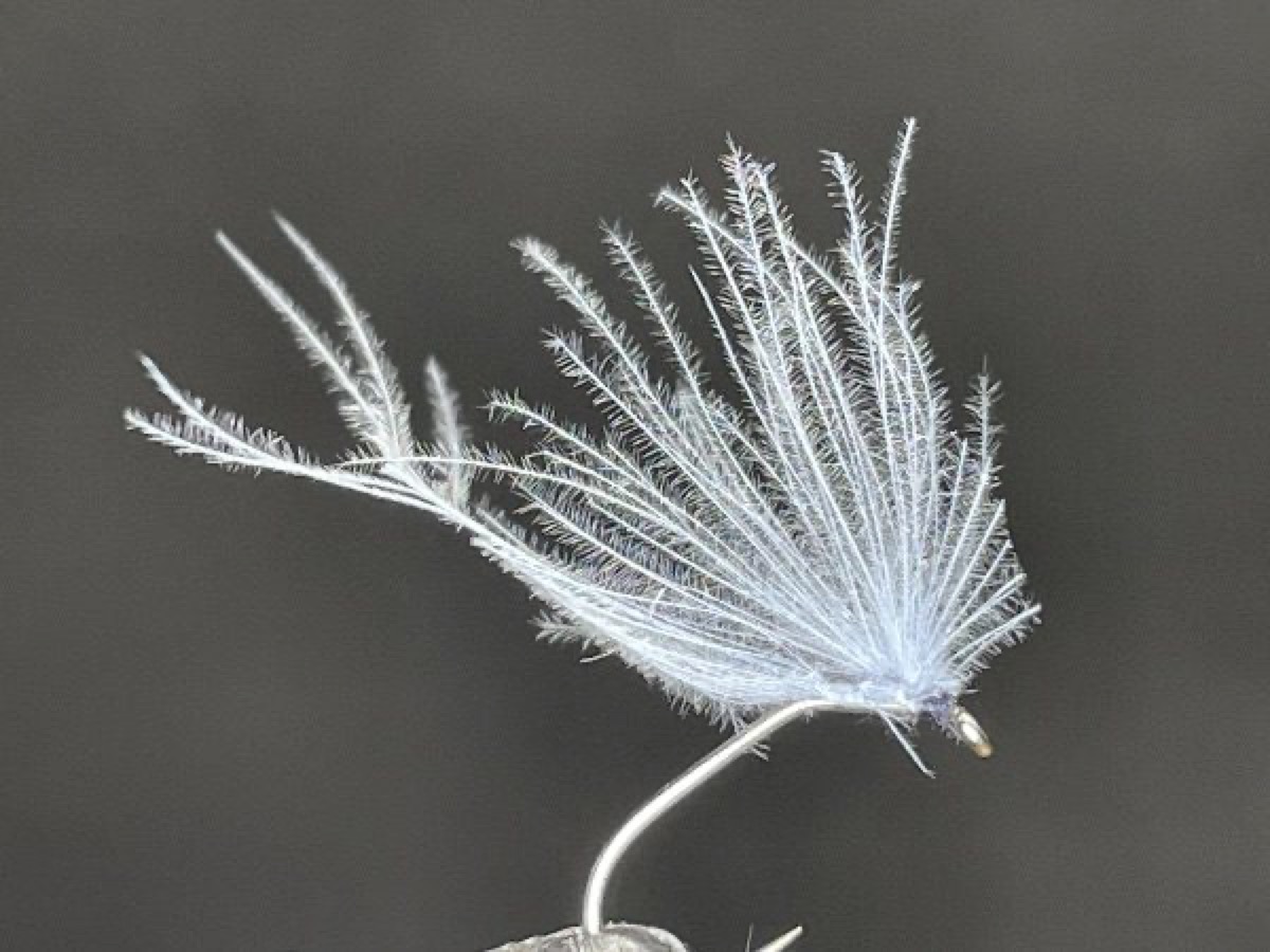One Feather CDC Mayfly fly pattern tied by Brent Jones