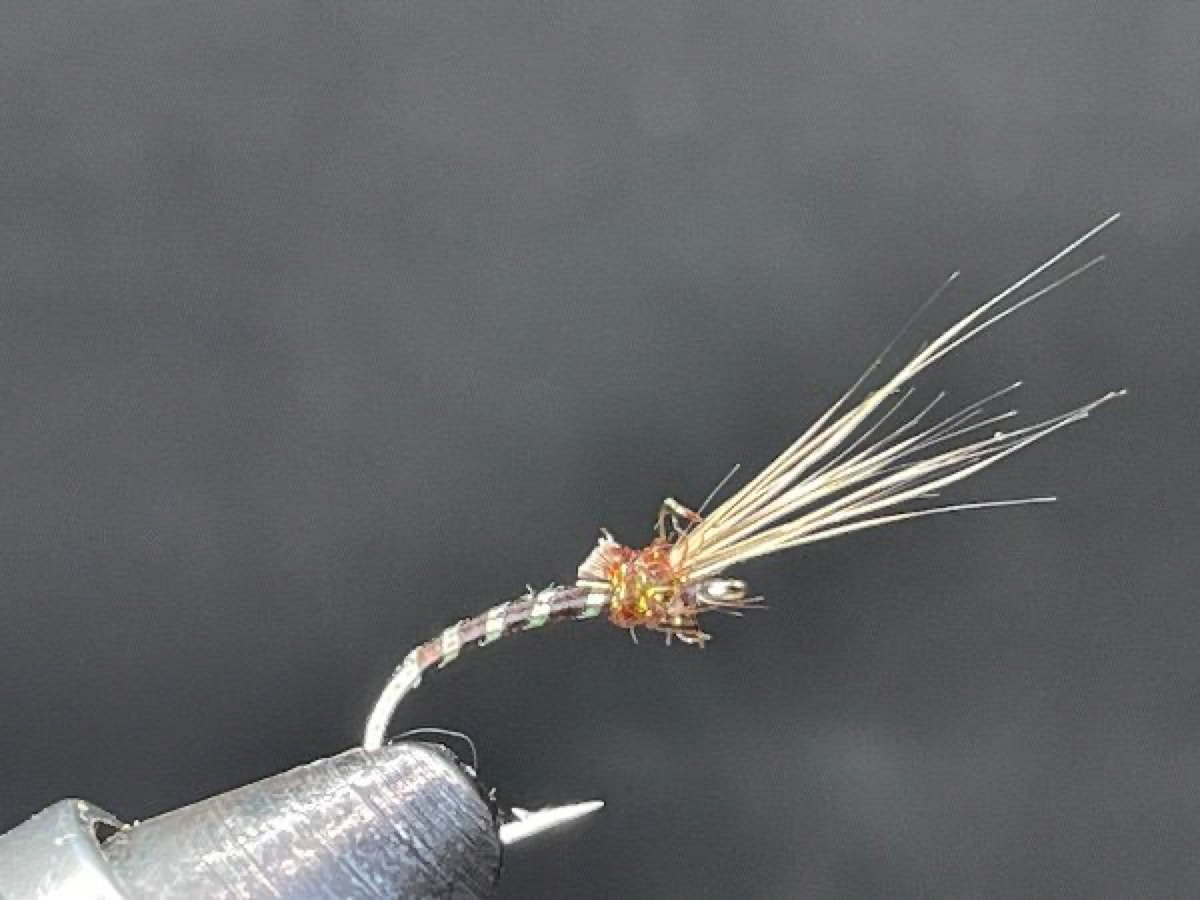 Deer Hair Emerging Buzzer fly pattern tied by Brent Jones