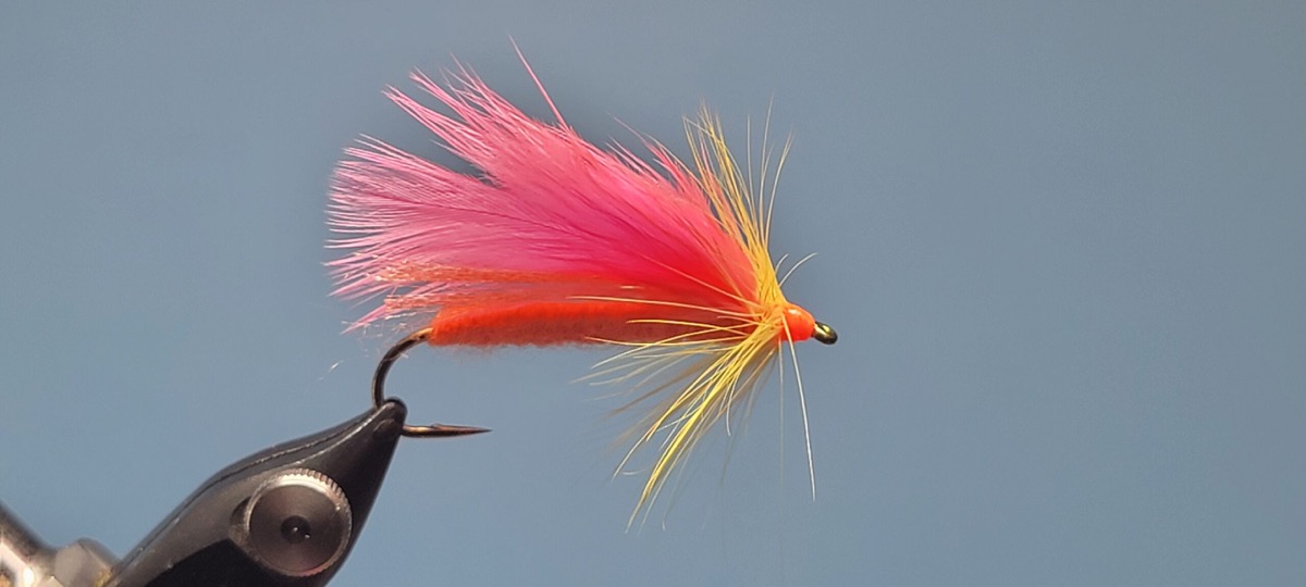 The Cardinelle Streamer fly pattern tied by Darrell Olson