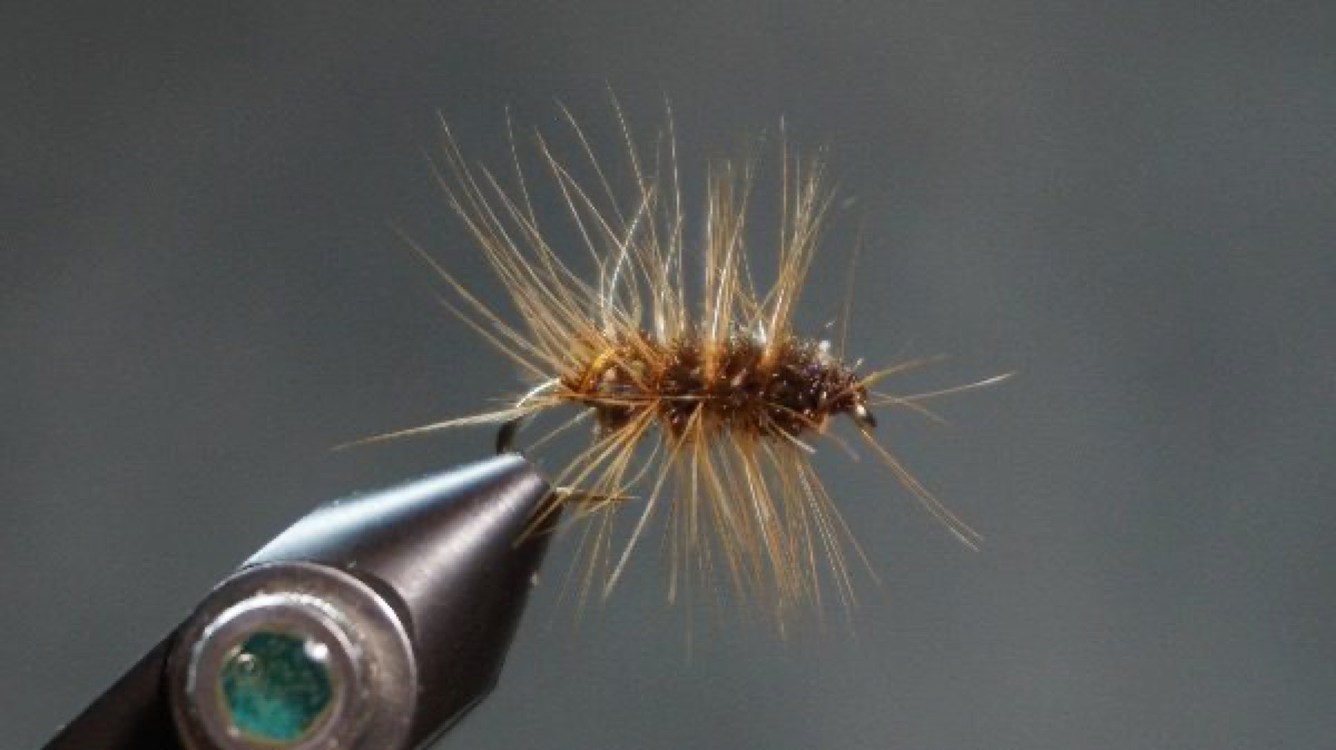 Skipping Wooly fly pattern tied by Christian Andrews