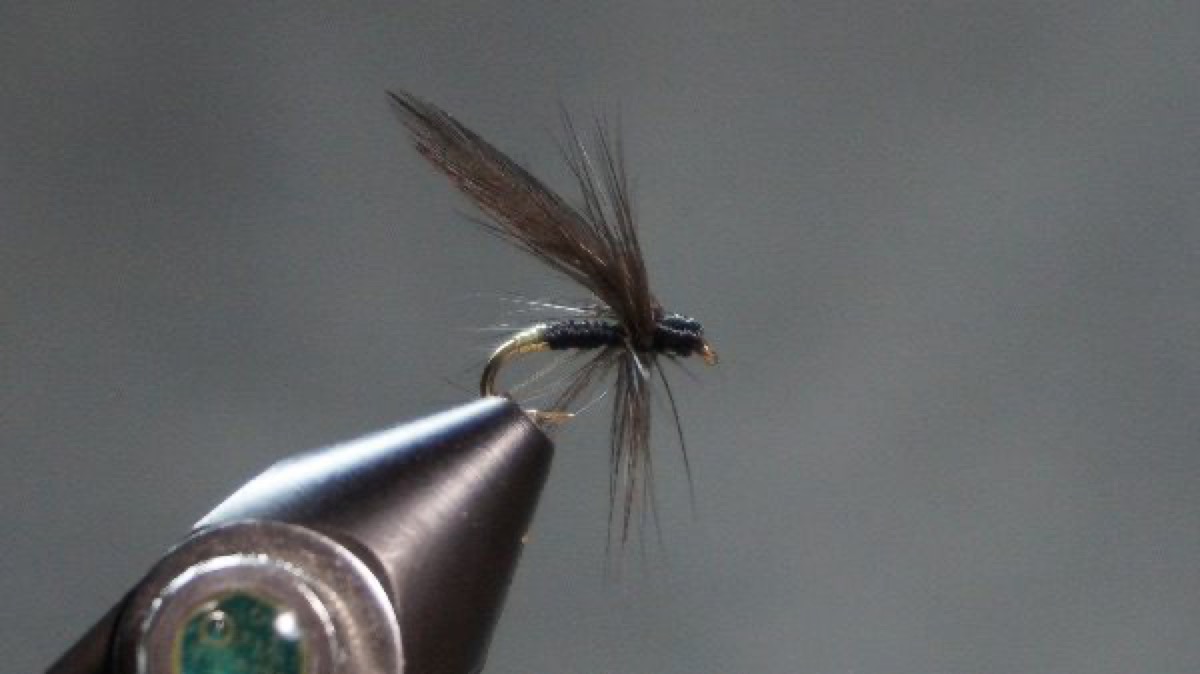 Black May fly pattern tied by Christian Andrews