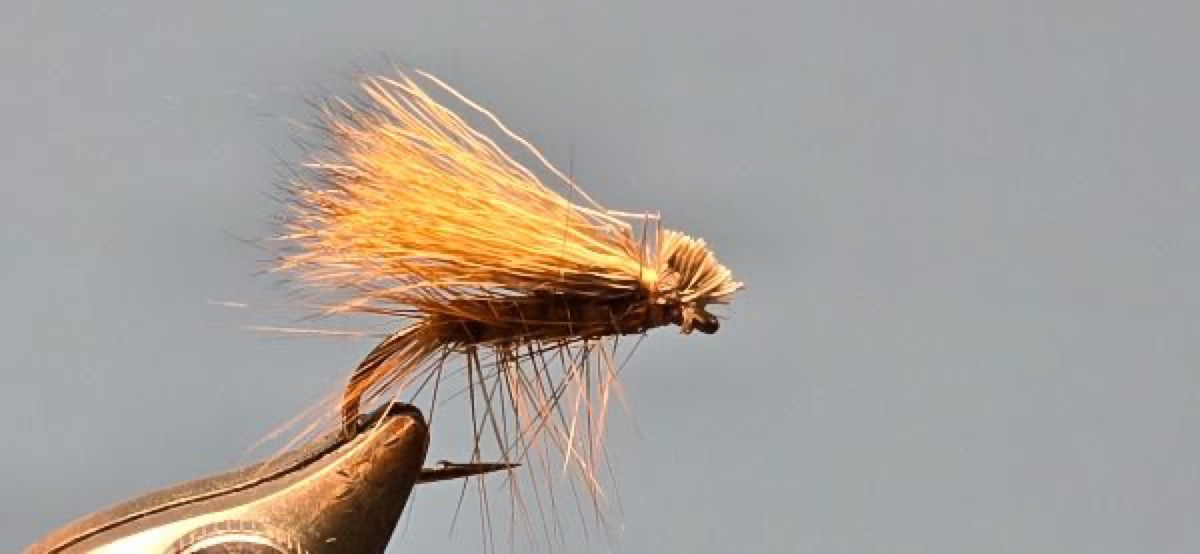 Elk Wing Caddis fly pattern tied by Darrell Olson