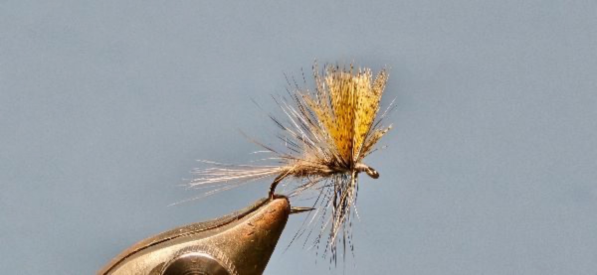 Dark Hendrickson fly pattern tied by Darrell Olson