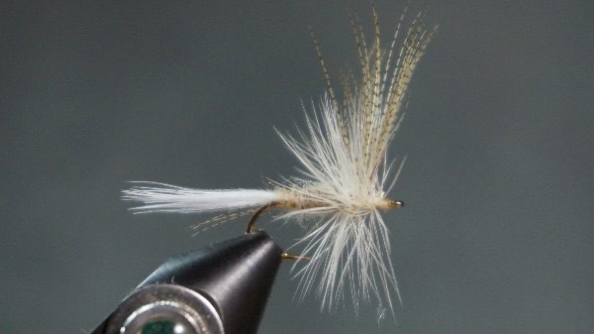 Light Cahill fly pattern tied by Christian Andrews