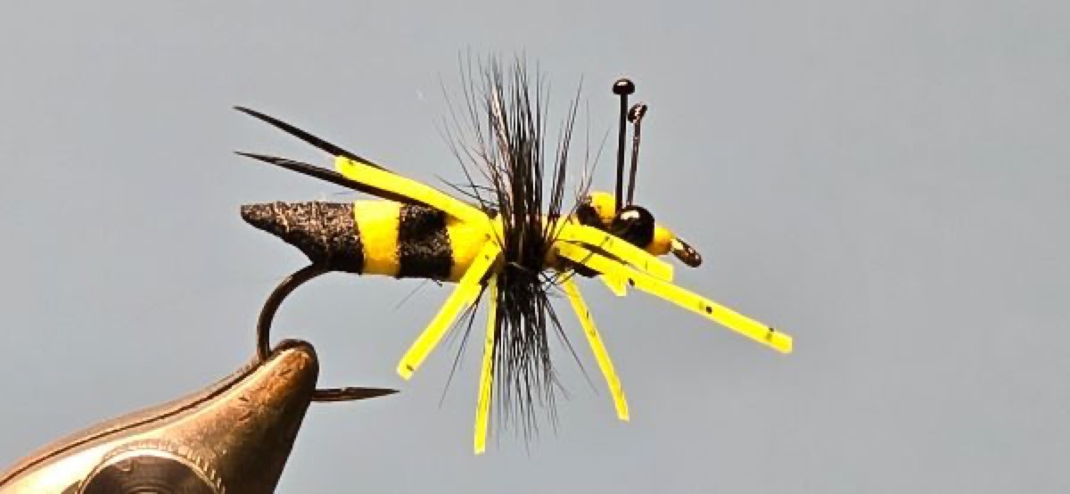 Bumblebee Foam Fly fly pattern tied by Darrell Olson