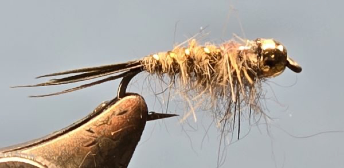 BH Hares Ear Flashback fly pattern tied by Darrell Olson