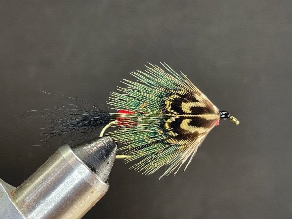 Mrs. Simpson fly pattern tied by Brent Jones