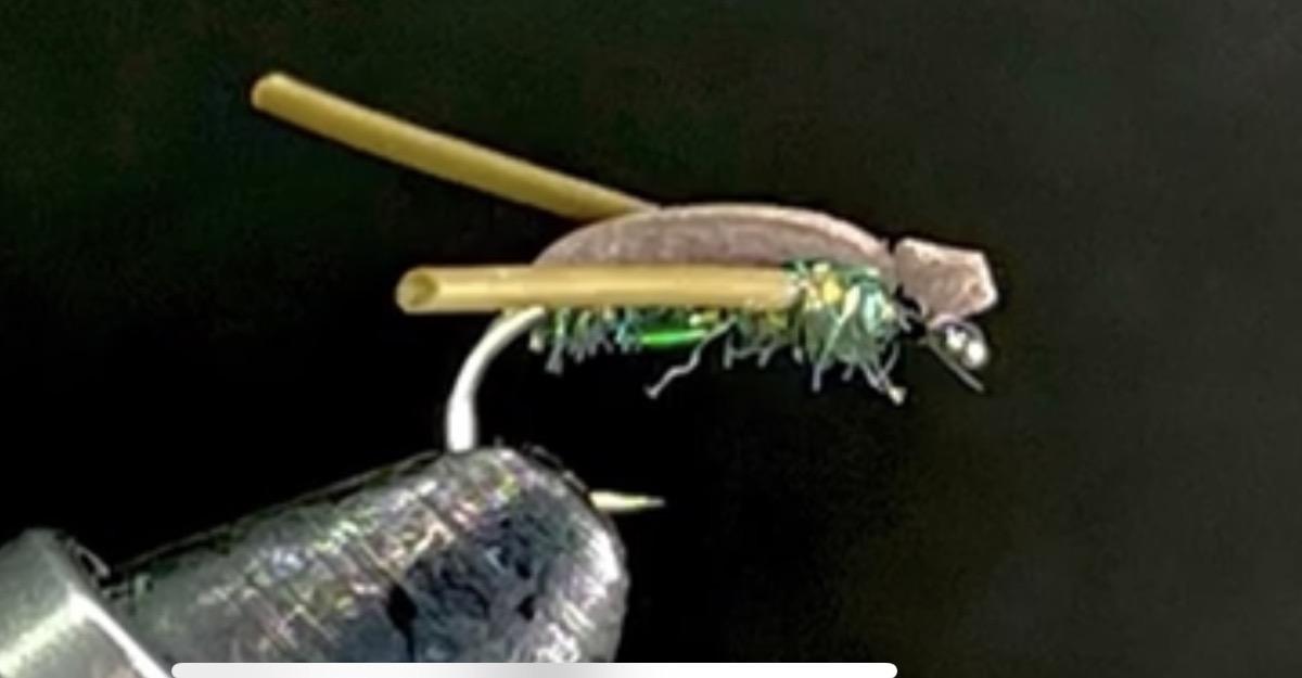 Foam water boatman fly pattern tied by Brent Jones