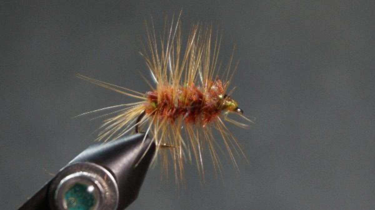 Deep Skipping Wooly fly pattern tied by Christian Andrews