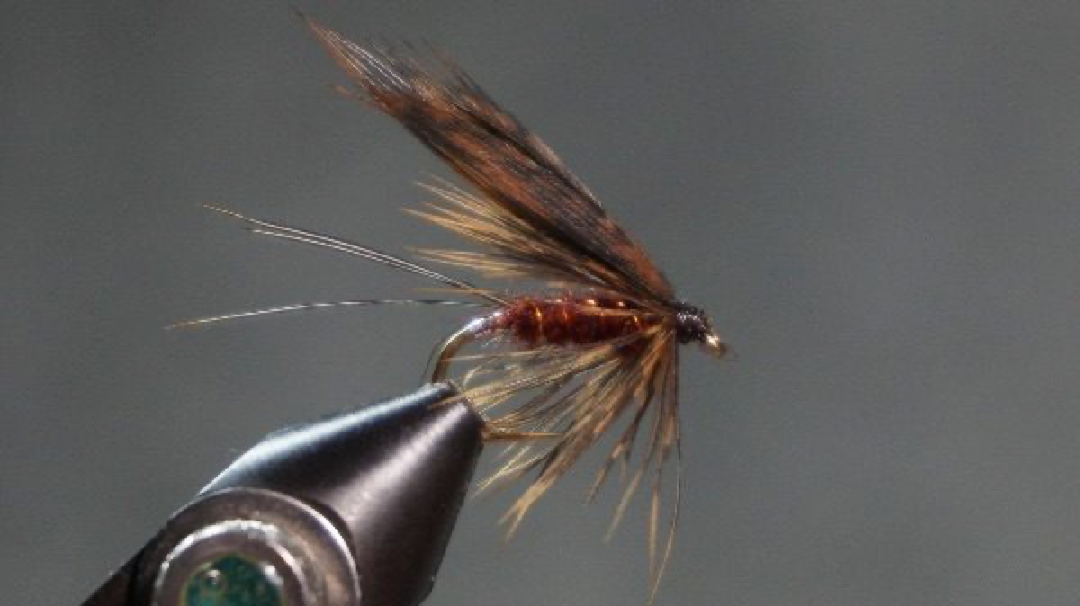 Brown Adder fly pattern tied by Christian Andrews